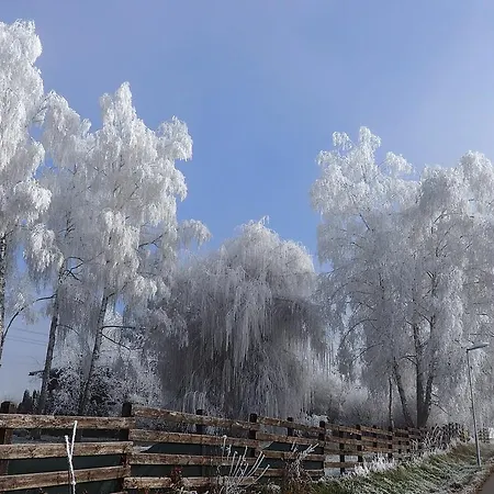 アパート Rizzi Haus クラーゲンフルト