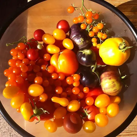 Rizzi Haus クラーゲンフルト