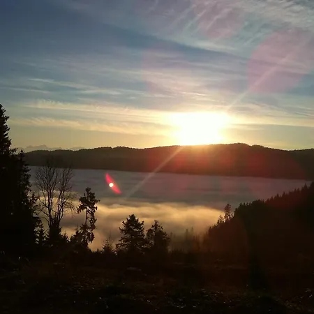 アパート Rizzi Haus