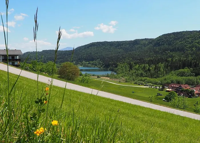 Appartement Rizzi Haus